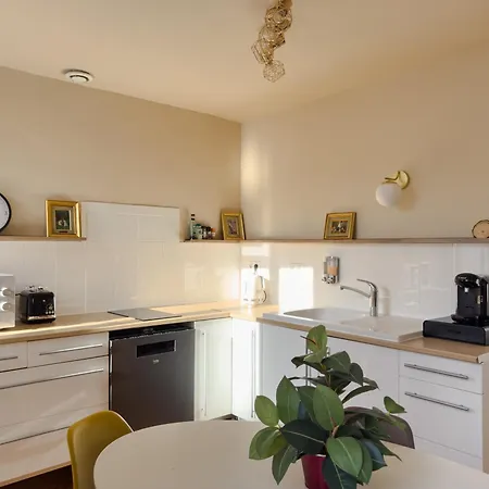 Duplex Lumineux 2 Centre Zone Pietonne