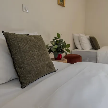 Duplex Lumineux 2 Centre Zone Pietonne 公寓