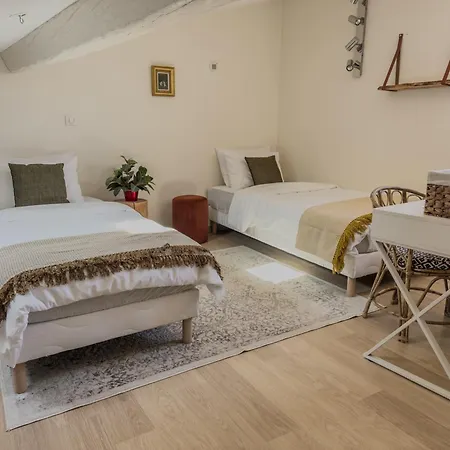 Duplex Lumineux 2 Centre Zone Pietonne Appartement *