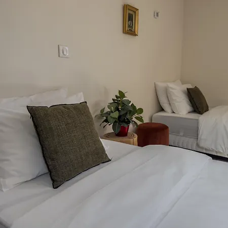 Appartement Duplex Lumineux 2 Centre Zone Pietonne *